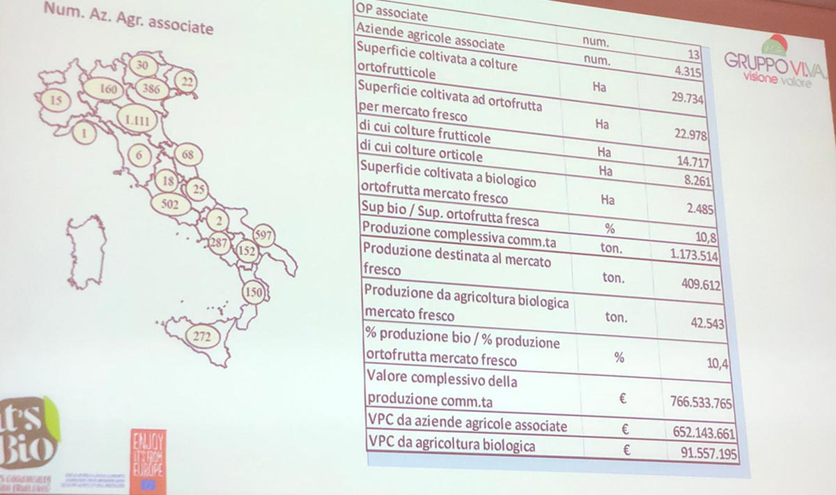 Aop Gruppo Vi.Va. rappresenta un perfetto esempio di aggregazione delle aziende